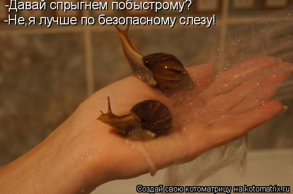 Котоматрица: -Давай спрыгнем побыстрому? -Не,я лучше по безопасному слезу!