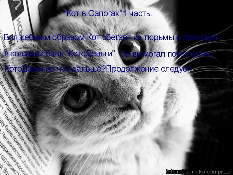 Котоматрица: "Кот в Сапогах"1 часть. Волшебным образом Кот сбегает из тюрьмы и приходит в кошачий банк "КотоДеньги". Он вымогал пока тысячу КотоДенег,но чт