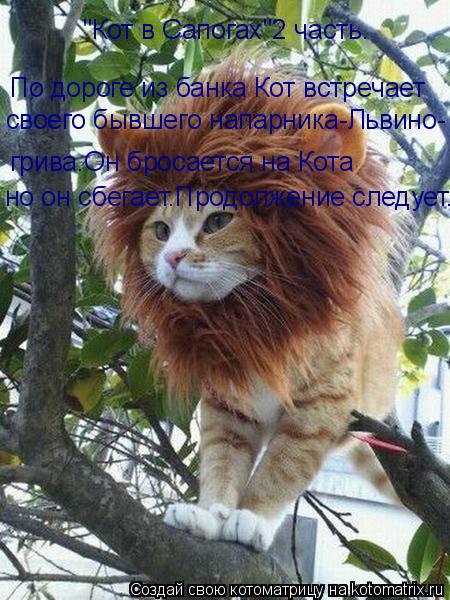 Котоматрица: "Кот в Сапогах"2 часть. По дороге из банка Кот встречает своего бывшего напарника-Львино- грива.Он бросается на Кота но он сбегает.Продолжени