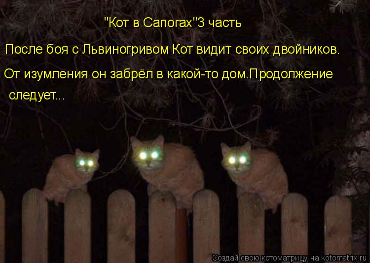 Котоматрица: "Кот в Сапогах"3 часть После боя с Львиногривом Кот видит своих двойников. От изумления он забрёл в какой-то дом.Продолжение следует...