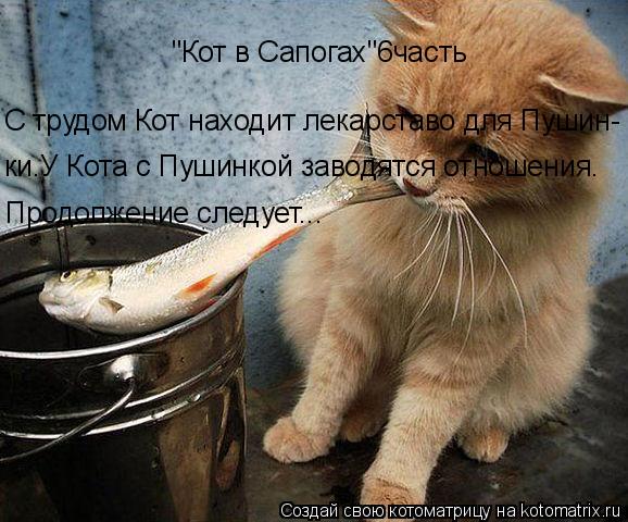 Котоматрица: "Кот в Сапогах"6часть С трудом Кот находит лекарставо для Пушин- ки.У Кота с Пушинкой заводятся отношения. Продолжение следует...