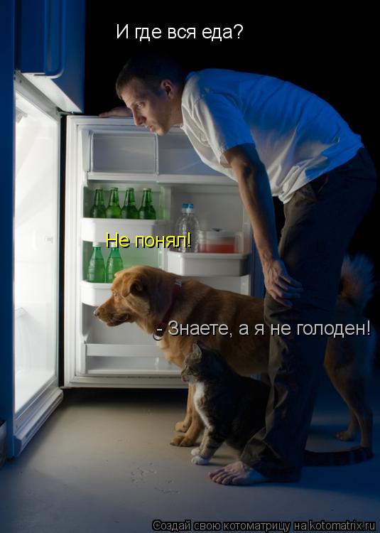 Котоматрица: И где вся еда? Не понял! - Знаете, а я не голоден!