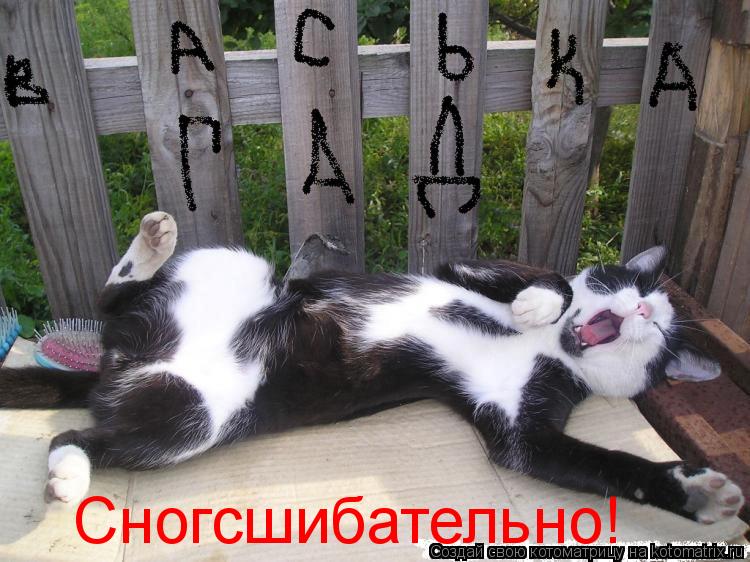 Котоматрица: Сногсшибательно!