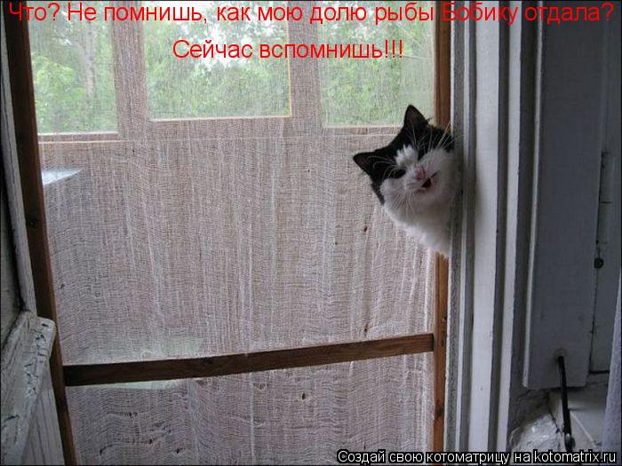Котоматрица: Что? Не помнишь, как мою долю рыбы Бобику отдала? Сейчас вспомнишь!!!