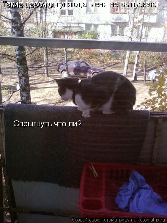 Котоматрица: Такие девочки г Такие девочки гуляют,а меня не выпускают. Спрыгнуть что ли?