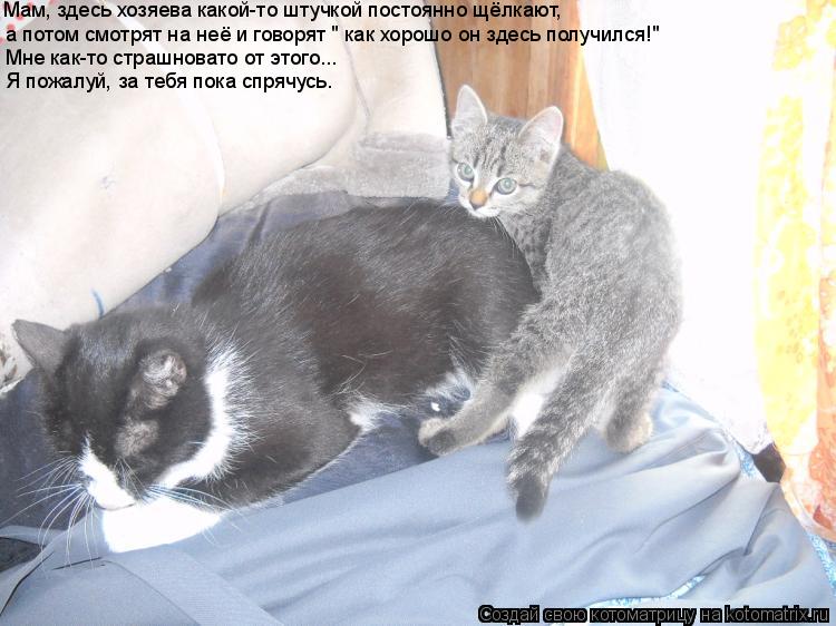 Котоматрица: Мам, здесь хозяева какой-то штучкой постоянно щёлкают, а потом смотрят на неё и говорят " как хорошо он здесь получился!" Мне как-то страшнова