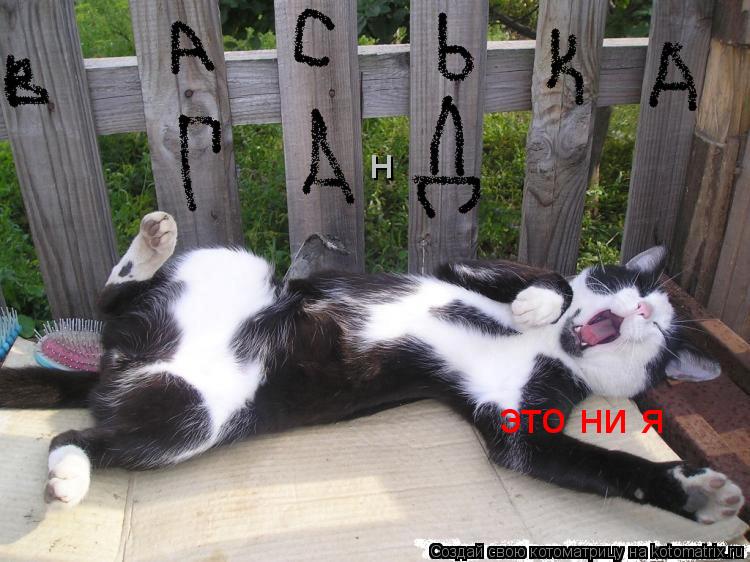 Котоматрица: это ни я н