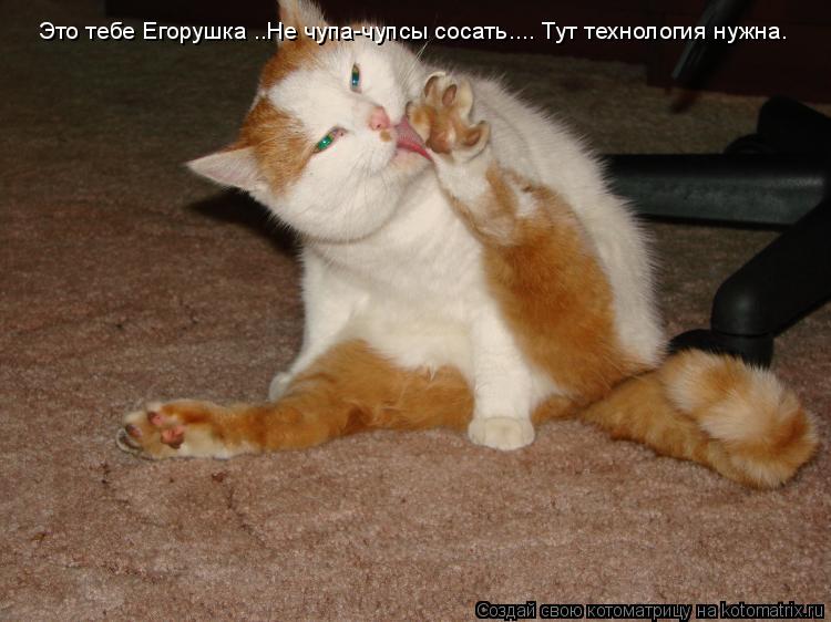 Котоматрица: Это тебе Егорушка ..Не чупа-чупсы сосать.... Тут технология нужна.