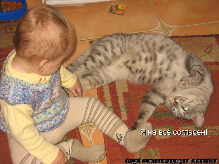 Котоматрица: Я на все согласен!