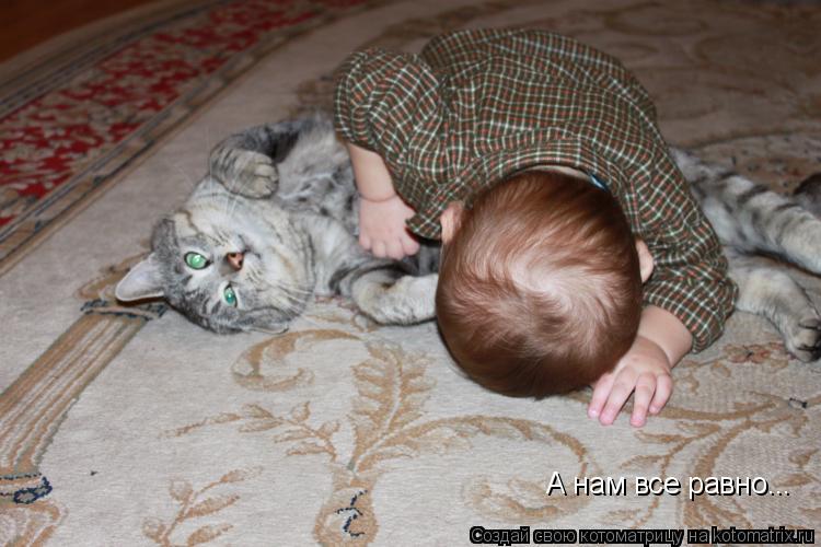 Котоматрица: А нам все равно...