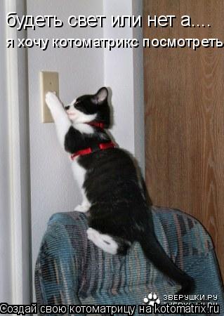 Котоматрица: будеть свет или нет а, я хочу  будеть свет или нет а.... я хочу котоматрикс посмотреть