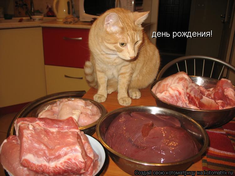 Котоматрица: день рождения!