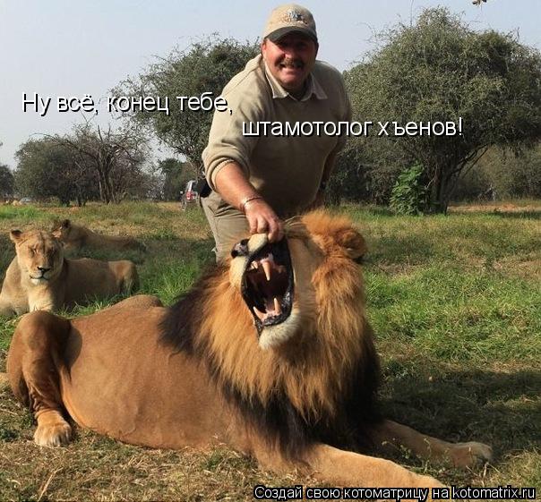 Котоматрица: Ну всё, конец тебе,  штамотолог хъенов!