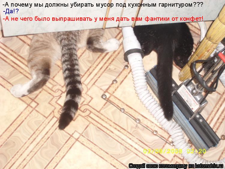 Котоматрица: -А почему мы должны убирать мусор под кухонным гарнитуром??? -Да!? -А не чего было выпрашивать у меня дать вам фантики от конфет!