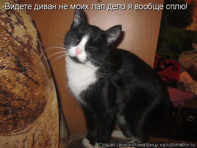 Котоматрица: -Видете диван не моих лап дело я вообще сплю!