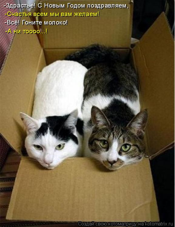 Котоматрица: -Здрастье! С Новым Годом поздравляем, -Счастья всем мы вам желаем! -Всё! Гоните молоко! -А ни тоооо...!
