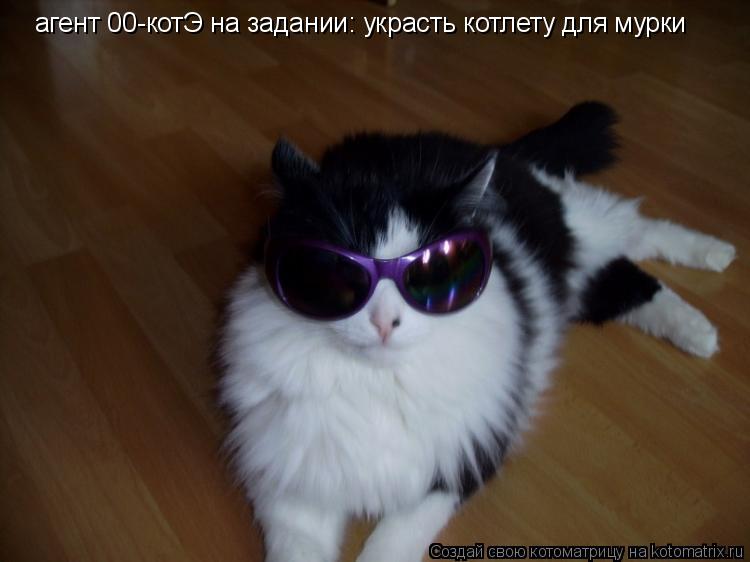 Котоматрица: агент 00-котЭ на задании: украсть котлету для мурки