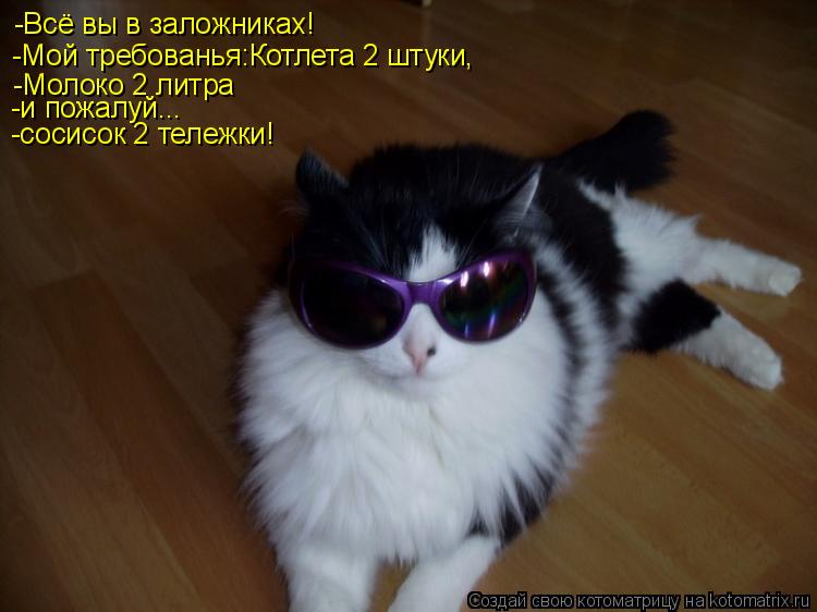 Котоматрица: -Всё вы в заложниках! -Мой требованья:Котлета 2 штуки, -Молоко 2 литра -и пожалуй... -сосисок 2 тележки!