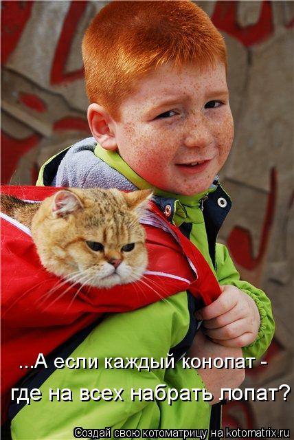 Котоматрица: ...А если каждый конопат - где на всех набрать лопат?
