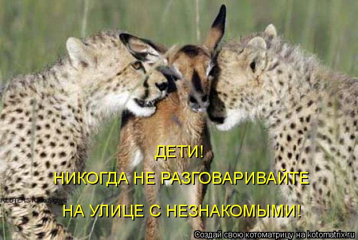 ДЕТИ! НИКОГДА НЕ РАЗГОВАРИВАЙТЕ НА УЛИЦЕ С НЕЗНАКОМЫМИ!... Котоматрица: ДЕТИ! НИКОГДА НЕ РАЗГОВАРИВАЙТЕ НА УЛИЦЕ С НЕЗНАКОМЫМИ!