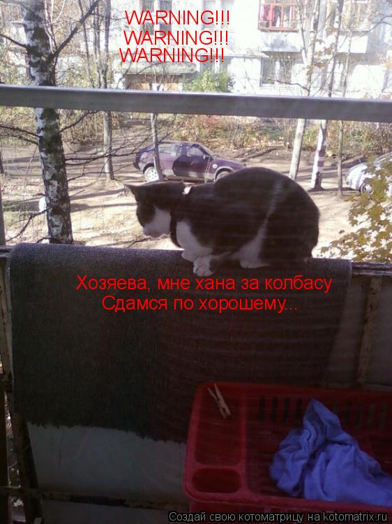 Котоматрица: Хозяева, мне хана за колбасу WARNING!!! WARNING!!! WARNING!!! Сдамся по хорошему...