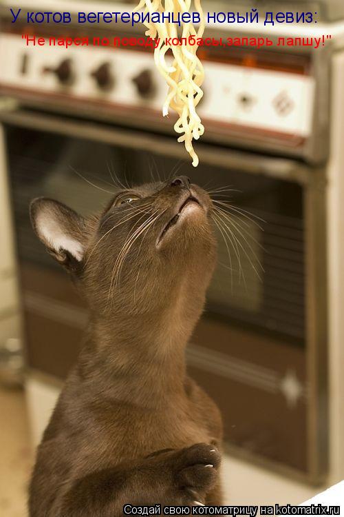 Котоматрица: У котов вегетерианцев новый девиз: "Не парся по поводу колбасы,запарь лапшу!"