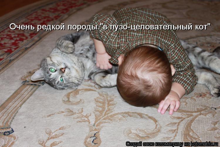 Очень редкой породы "в пузо-целовательный кот"... Котоматрица: Очень редкой породы "в пузо-целовательный кот"