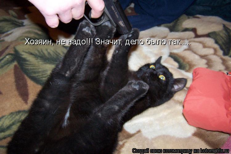 Котоматрица: Хозяин, не надо!!! Значит, дело было так.....