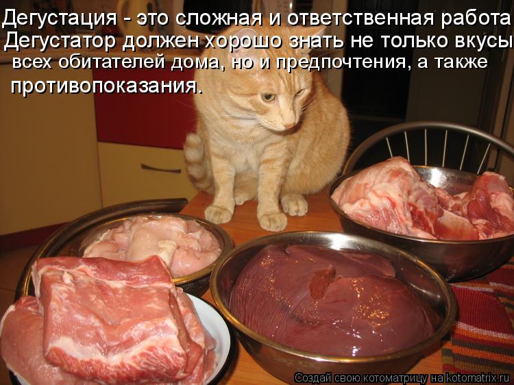 Котоматрица: Дегустация - это сложная и ответственная работа. Дегустатор должен хорошо знать не только вкусы  всех обитателей дома, но и предпочтения, а 