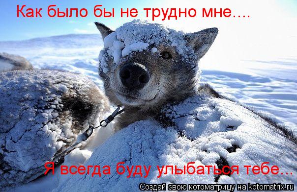 Как было бы не трудно мне.... Я всегда буду улыбаться тебе...... Котоматрица: Как было бы не трудно мне.... Я всегда буду улыбаться тебе...