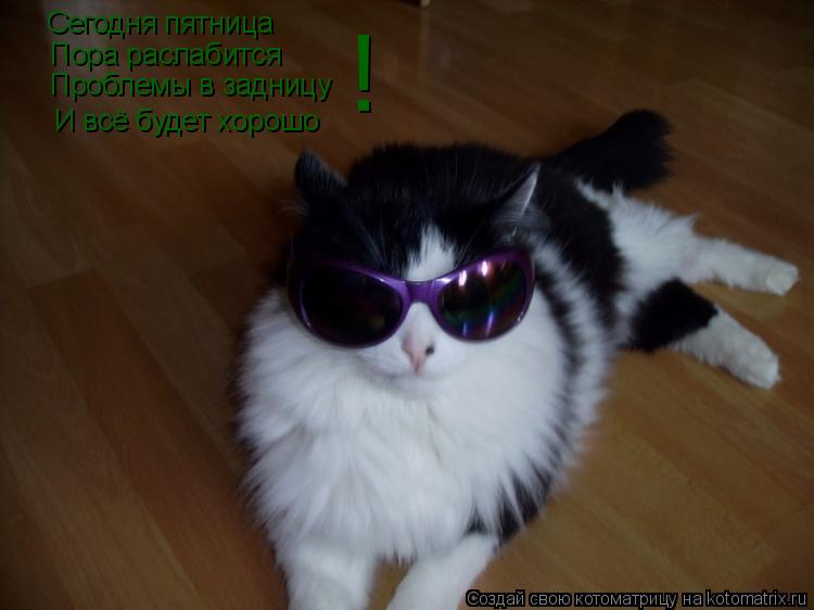 Котоматрица: Сегодня пятница Пора раслабится Проблемы в задницу И всё будет хорошо !