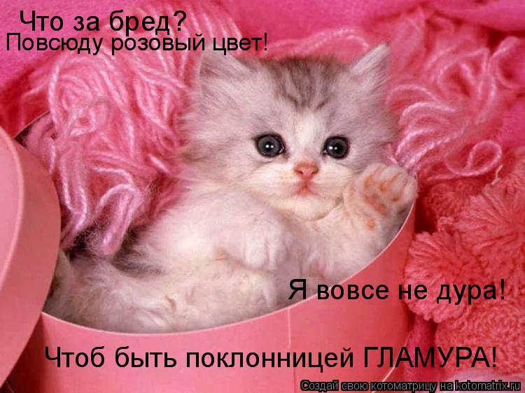 Котоматрица: Что за бред? Повсюду розовый цвет! Я вовсе не дура! Чтоб быть поклонницей ГЛАМУРА!