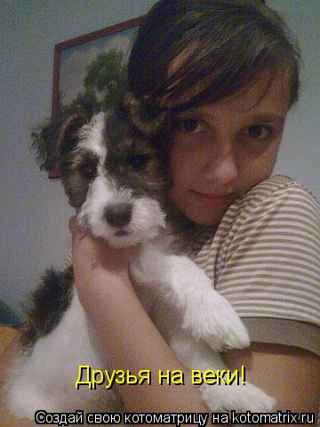 Котоматрица: Друзья на веки!