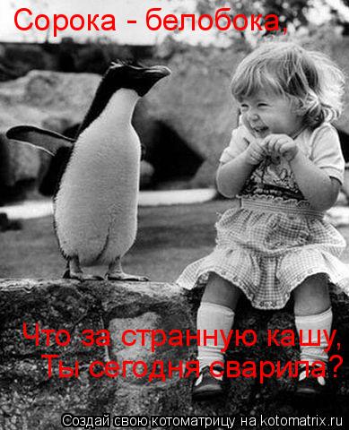 Котоматрица: Сорока - белобока, Что за странную кашу, Ты сегодня сварила?