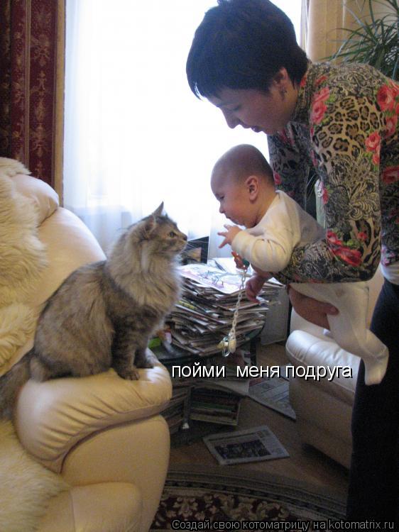 Котоматрица: пойми  меня подруга