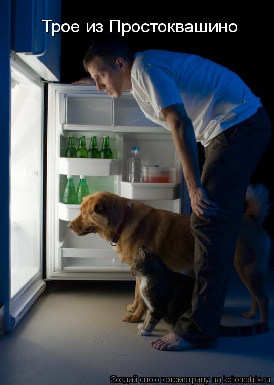Котоматрица: Трое из Простоквашино