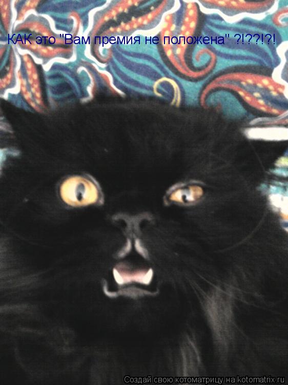 Котоматрица: КАК это "Вам премия не положена" ?!??!?!