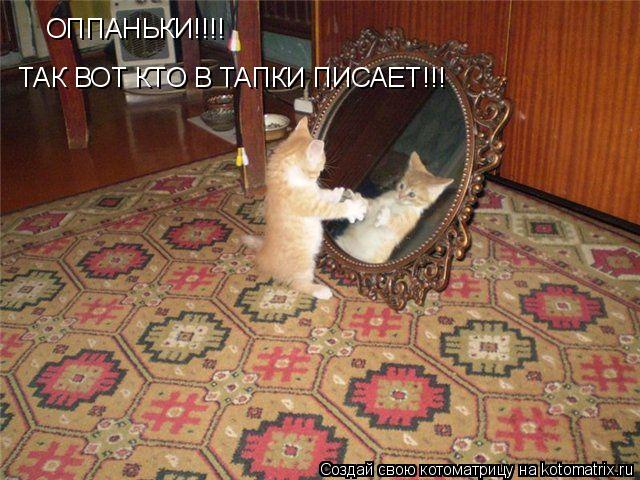 Котоматрица: ОППАНЬКИ!!!! ТАК ВОТ КТО В ТАПКИ ПИСАЕТ!!!