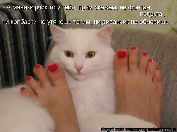 Котоматрица: - А маникюрчик то у тебя, прям скажем, не фонтан , подруга ... ни колбаски не утянешь таким, ни диванчик не обновишь...