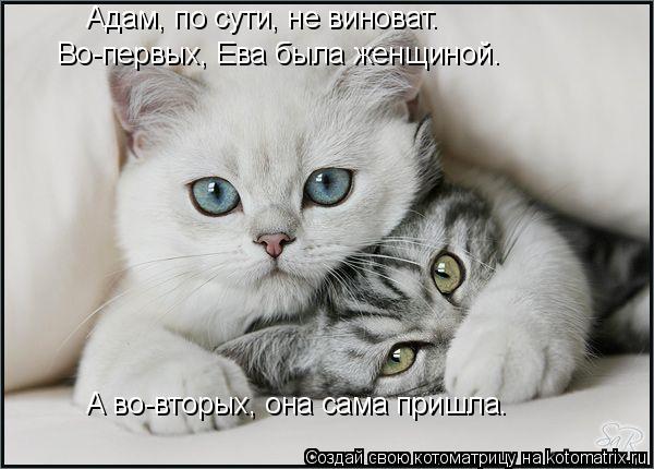 Котоматрица: Адам, по сути, не виноват. Во-первых, Ева была женщиной. А во-вторых, она сама пришла.