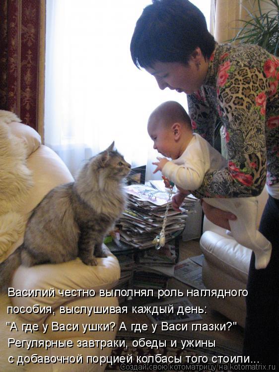 Котоматрица: Василий честно выполнял роль наглядного  пособия, выслушивая каждый день: "А где у Васи ушки? А где у Васи глазки?" Регулярные завтраки, обеды