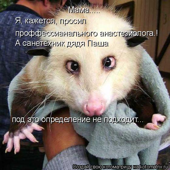 Котоматрица: Мама..... Я, кажется, просил  проффессианального анастезиолога.! А санетехник дядя Паша под это определение не подходит...