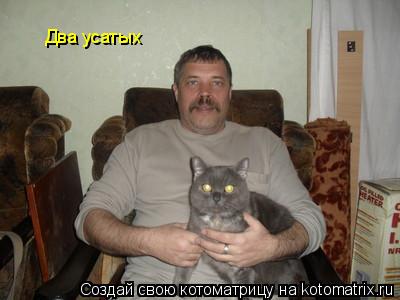 Котоматрица: Два усатых