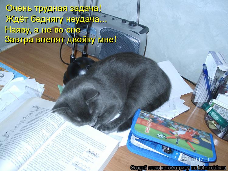 Котоматрица: Очень трудная задача!  Ждёт беднягу неудача...  Наяву, а не во сне  Завтра влепят двойку мне!
