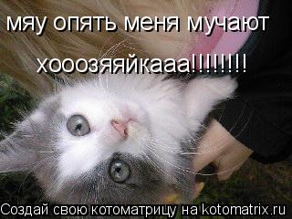 Котоматрица: мяу опять меня мучают хооозяяйкааа!!!!!!!!