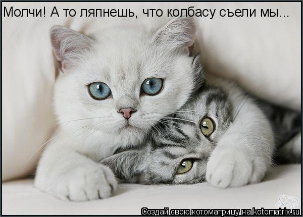 Котоматрица: Молчи! А то ляпнешь, что колбасу съели мы...