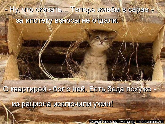 Котоматрица: - Ну, что сказать... Теперь живём в сарае -  за ипотеку взносы не отдали. С квартирой - бог с ней. Есть беда похуже -  из рациона исключили ужин!