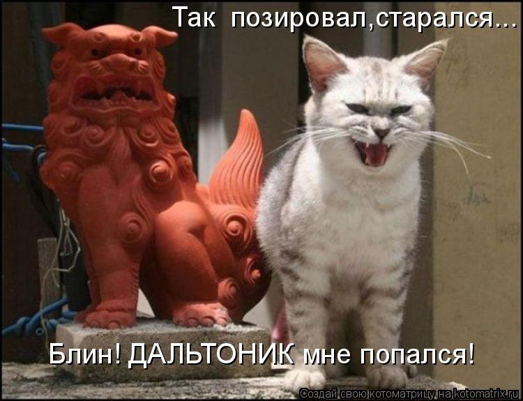 Так позировал,старался... Блин! ДАЛЬТОНИК мне попался!... Котоматрица: Так позировал,старался... Блин! ДАЛЬТОНИК мне попался!