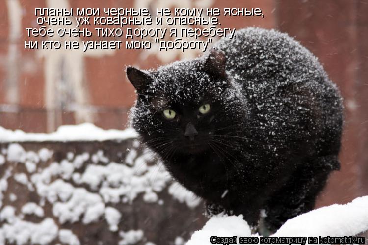 Котоматрица: планы мои черные, не кому не ясные, очень уж коварные и опасные. тебе очень тихо дорогу я перебегу, ни кто не узнает мою "доброту".
