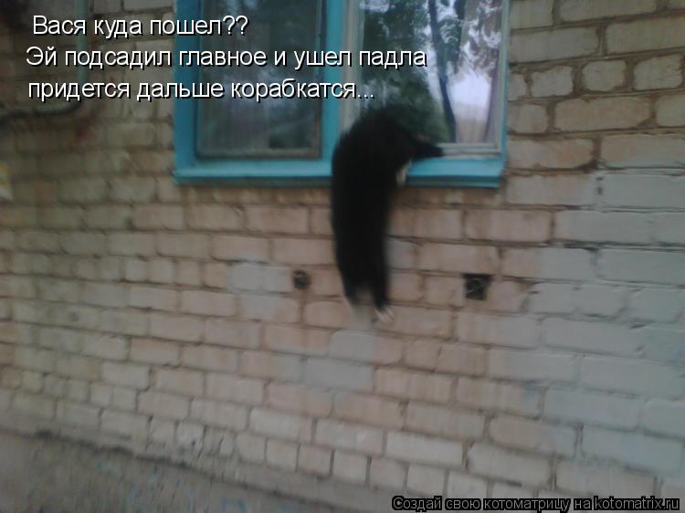 Котоматрица: Вася куда пошел??  Эй подсадил главное и ушел падла придется дальше корабкатся...